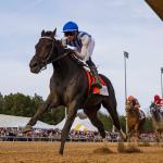 Paladin Leads Triple Crown Power Rankings as Incredibolt Enters Top 10